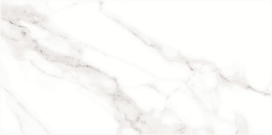 https://evyapkermit.com/wp-content/uploads/2024/03/Contessa-60x120-cm-01.bmp