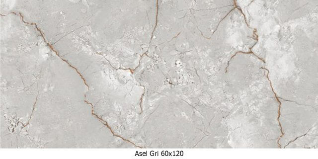 https://evyapkermit.com/wp-content/uploads/2026/05/ASEL-GRI-60-120-640x320.jpg